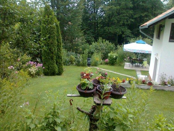 Ab Apartments Zlatibor Zewnętrze zdjęcie